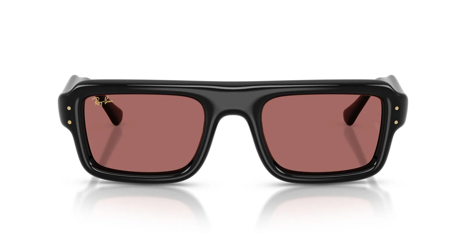 Ray-Ban 4954 Sunglasses - view 17